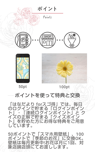 コンテンツ画像