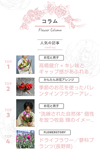 コンテンツ画像