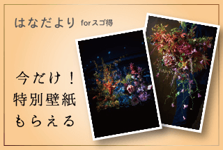 コンテンツ画像