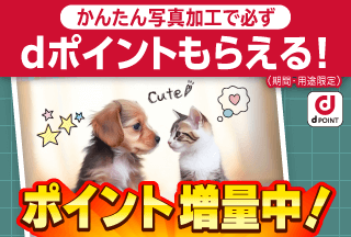 コンテンツ画像