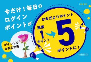 コンテンツ画像