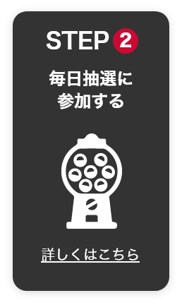 STEP2　毎日抽選に参加する