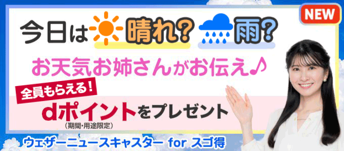 コンテンツ画像