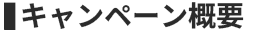 キャンペーン概要