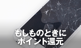 もしものときにポイント還元