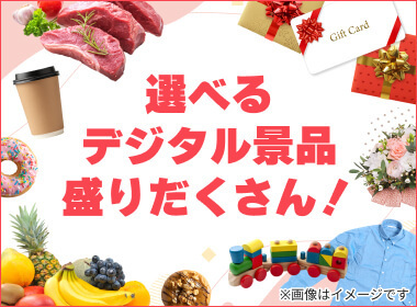 景品イメージ